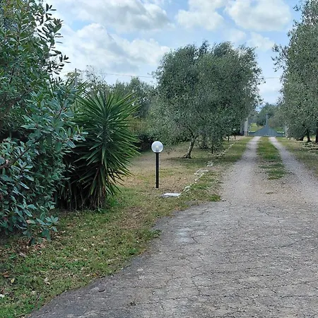La Rondinara * Olmedo