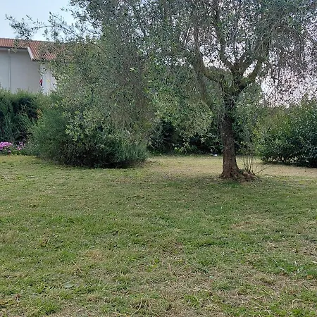 Apartment La Rondinara